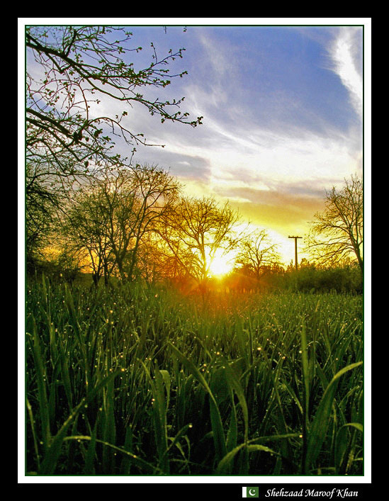 photo "In Search of SunRise" tags: landscape, spring, sunset