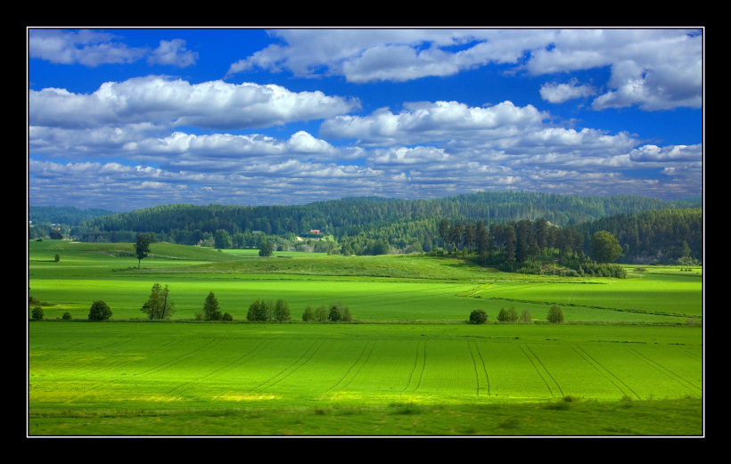 photo "***" tags: landscape, summer