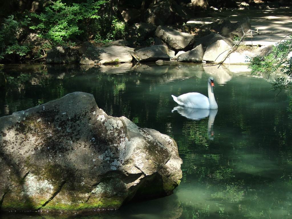 photo "calm" tags: landscape, summer, water