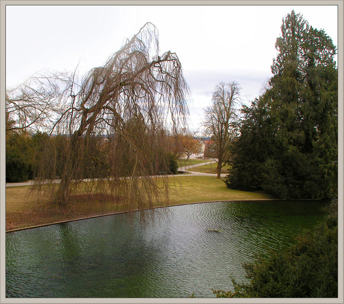 photo "***" tags: landscape, spring