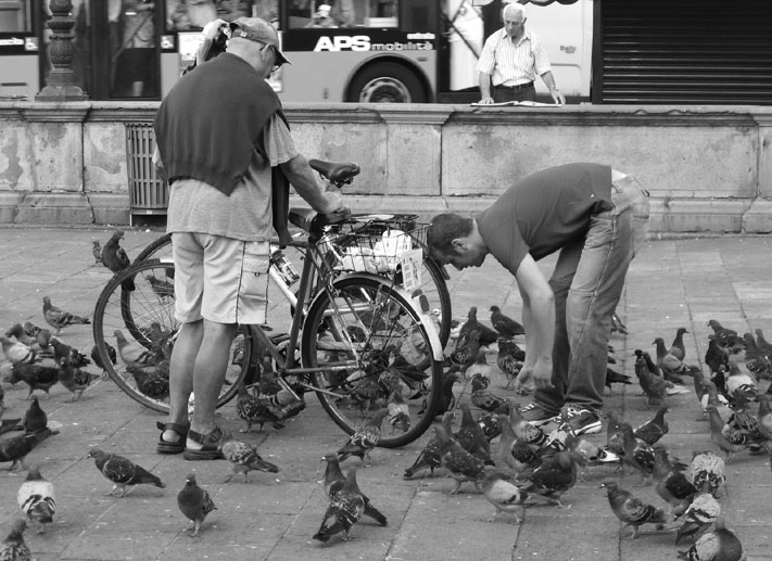 photo "***" tags: genre, 