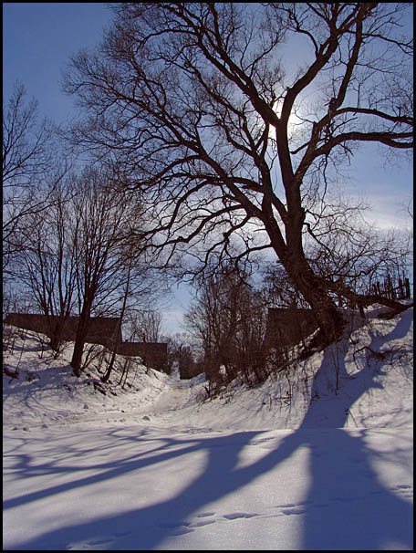 photo "March" tags: landscape, spring