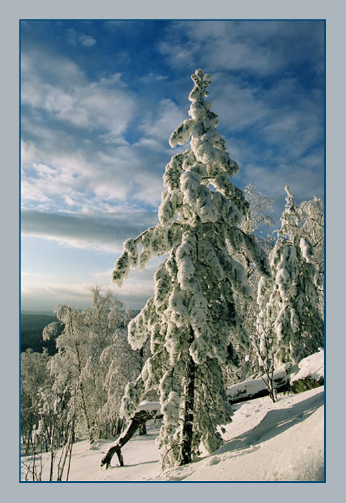 photo "***" tags: landscape, 