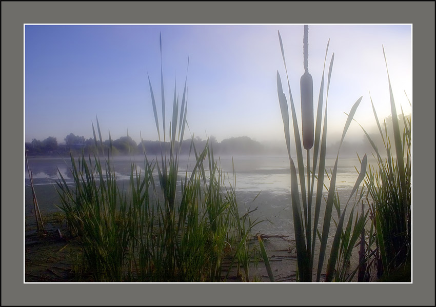 photo "***" tags: , 