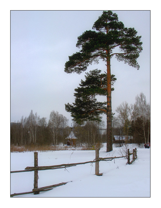 фото "Забор." метки: пейзаж, зима