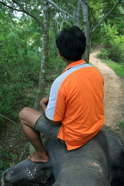 photo "elephant boy" tags: travel, nature, 