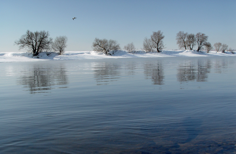 фото "Зовущая река." метки: пейзаж, весна, вода