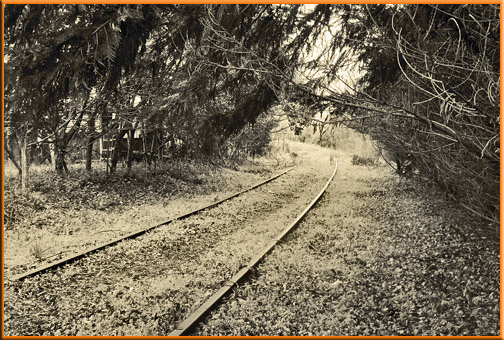 photo "Deserted Rail for HARTWELL RAILROAD since 1987" tags: landscape, still life, 