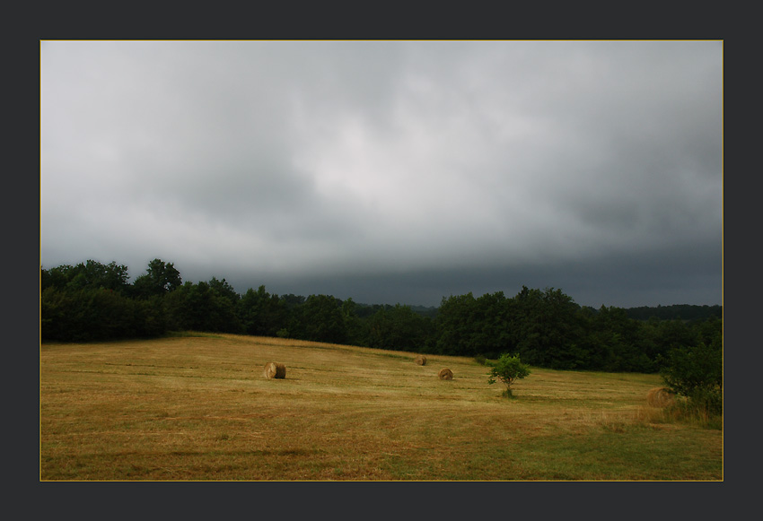 фото "Before the Storm" метки: пейзаж, лес, лето