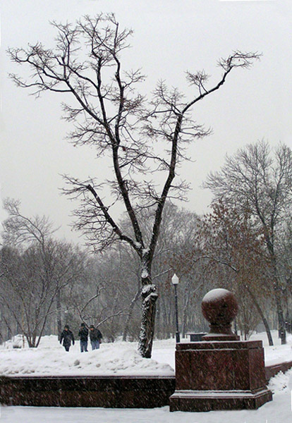 photo "Walks on winter capital." tags: landscape, winter