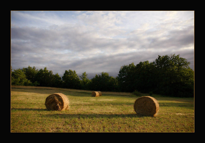 photo "Moissons d'ete" tags: landscape, summer