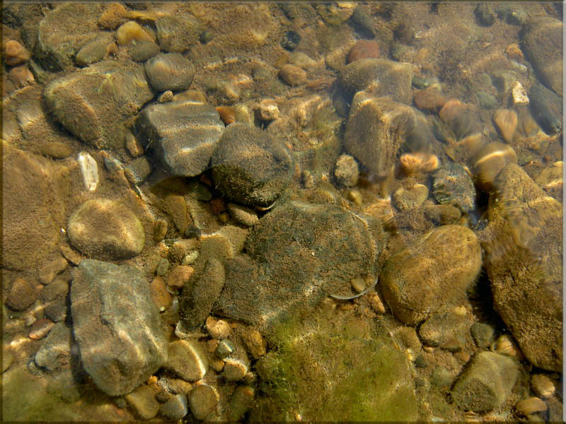 photo "***" tags: landscape, water