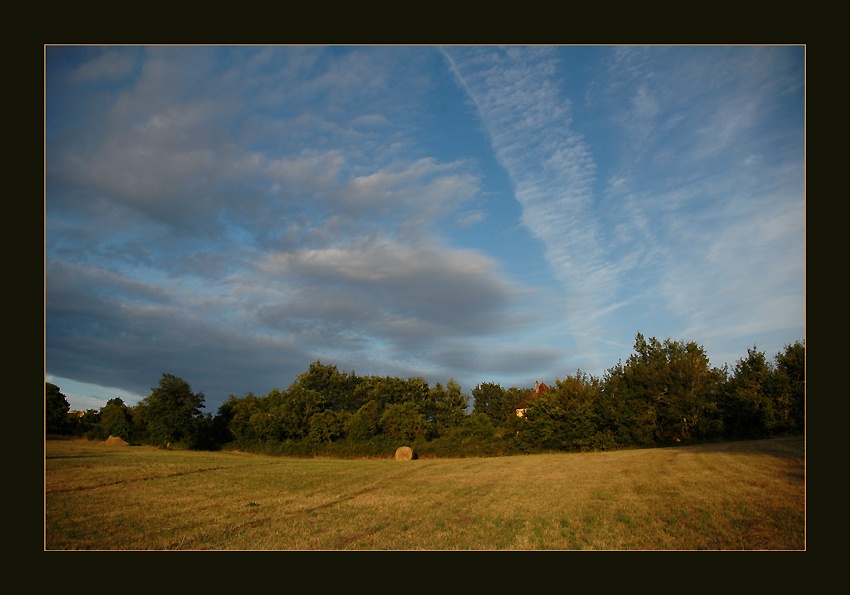 photo "***" tags: landscape, forest, summer