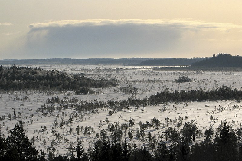 photo "Snow to come (over the swamp of Torro)" tags: landscape, clouds, winter