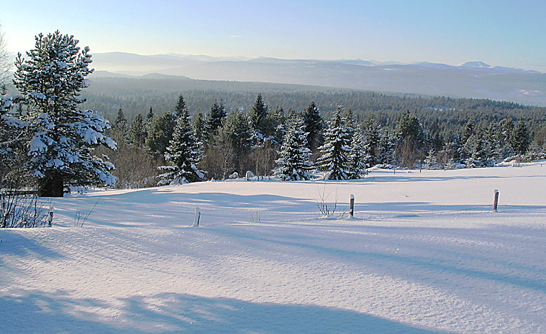 photo "The white country. ( Norway )" tags: landscape, winter