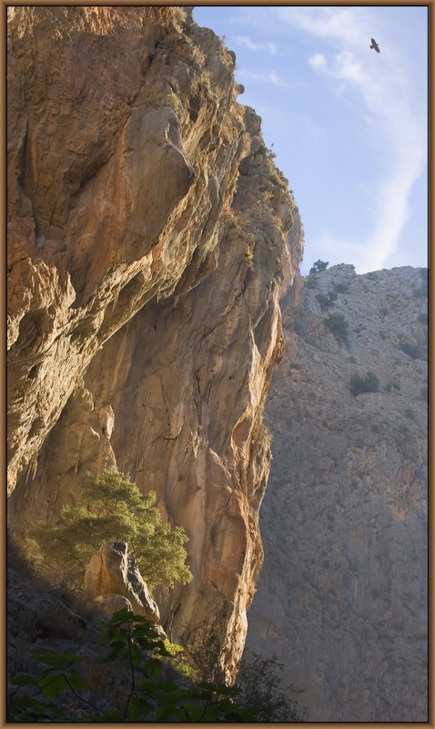 photo "Gorge (ravine)" tags: landscape, nature, mountains