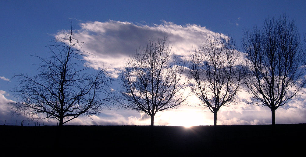 photo "the end of a day" tags: landscape, sunset