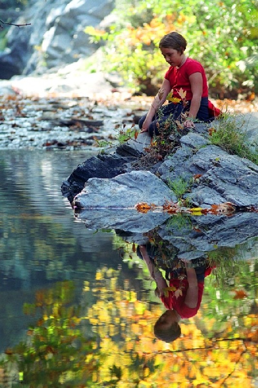 photo "Water Reflection  (Look)" tags: landscape, water