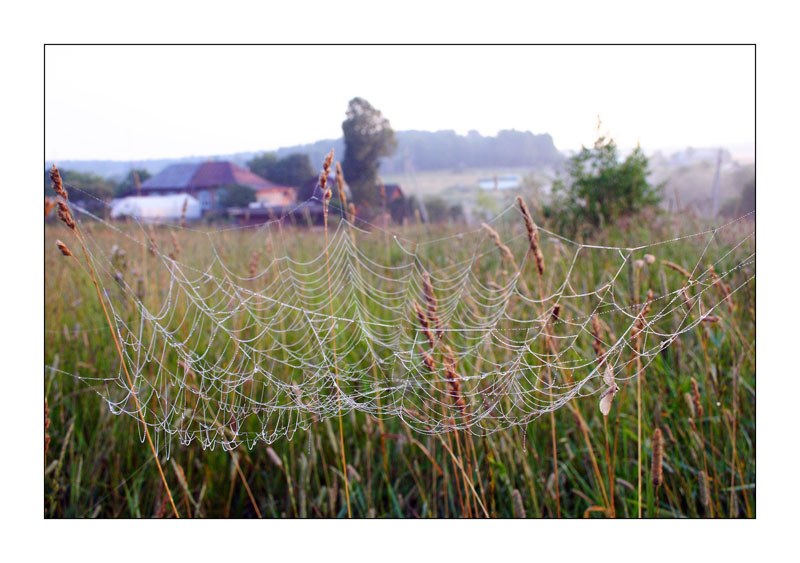 photo "***" tags: landscape, summer