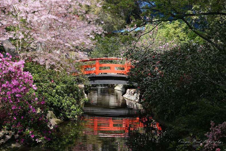 photo "' Bridge Over Tranquil Waters "" tags: landscape, travel, North America, spring