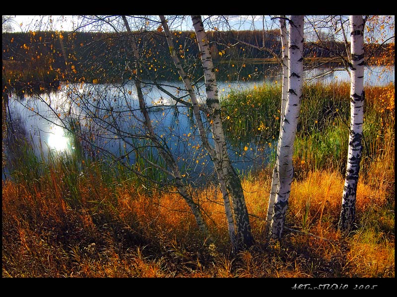 photo "Golden autumn" tags: landscape, autumn