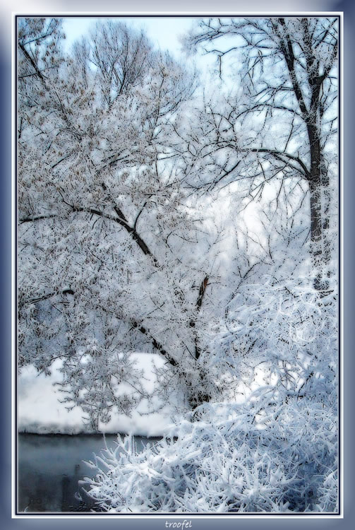 photo "***" tags: landscape, forest, winter