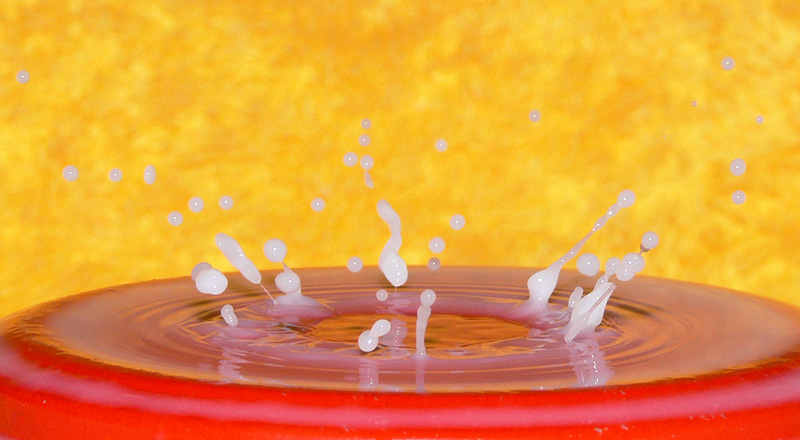 photo "Milk drops" tags: still life, macro and close-up, 
