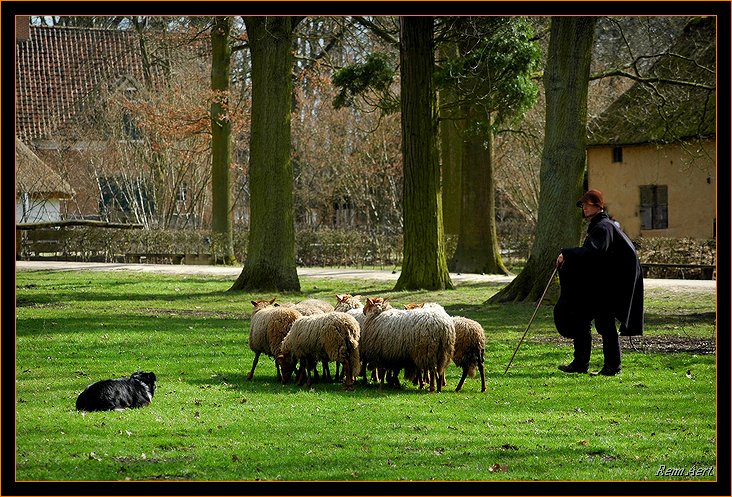 фото "sheep shepherd" метки: природа, репортаж, домашние животные