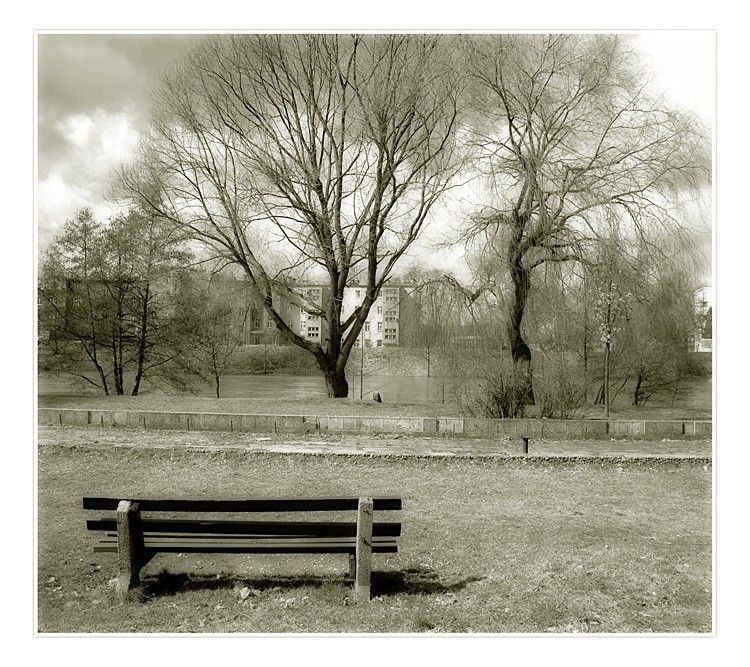 photo "the bench bw" tags: landscape, spring