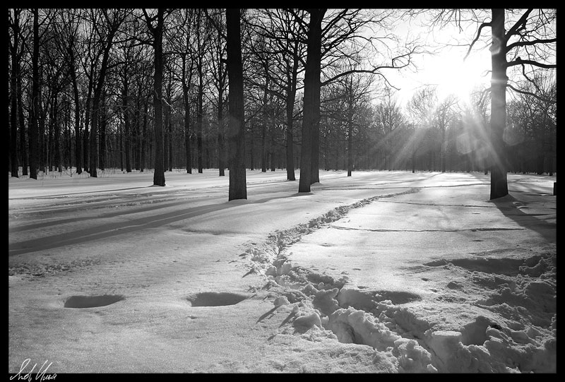 photo "My way" tags: landscape, black&white, 