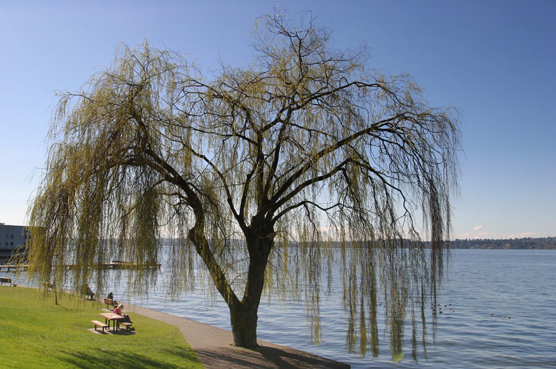 photo "Relax" tags: landscape, spring, water