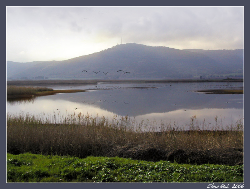 photo "On an outcome of day" tags: landscape, water