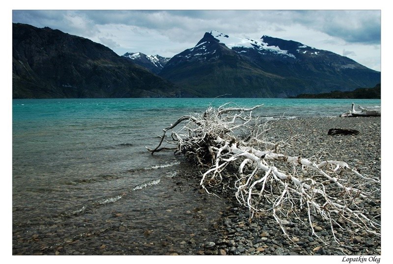 фото "Ultima Esperanza fjord, Patagonia, Chile" метки: пейзаж, путешествия, Южная Америка