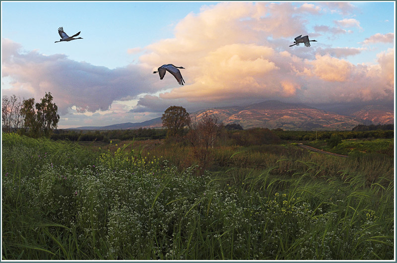 photo "Once in the evening..." tags: landscape, sunset