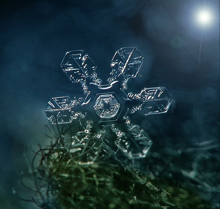 photo "SnowFlake" tags: , 