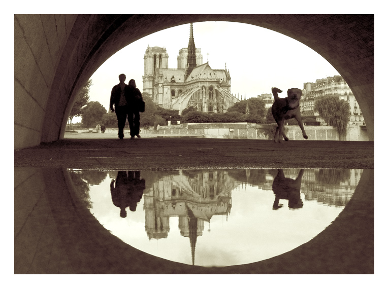 фото "Notre Dame**" метки: путешествия, Европа