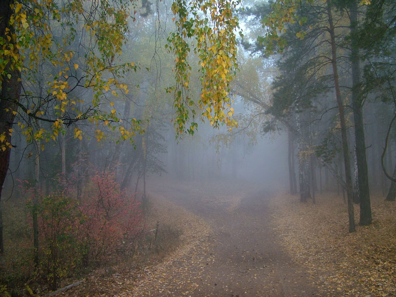 фото "дворик" метки: пейзаж, весна