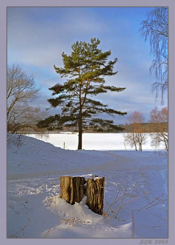 фото "* * *" метки: пейзаж, природа, зима