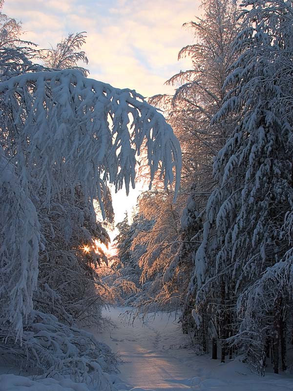 фото "Footpath to the sun..." метки: пейзаж, зима