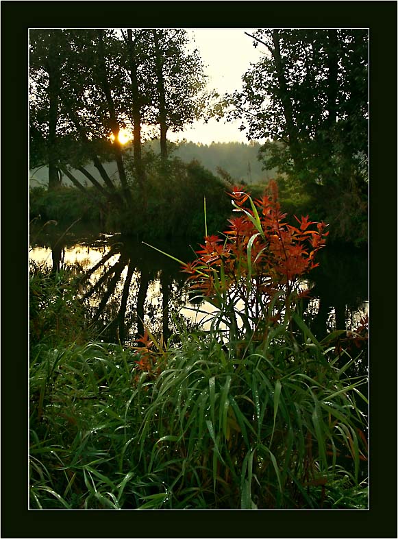 photo "Autumn kiss" tags: landscape, autumn, sunset