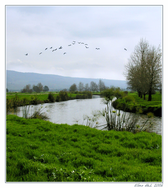 photo "Farewell with wintering" tags: landscape, spring, water