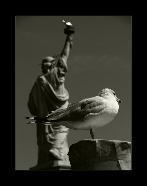 photo "the face of liberty" tags: black&white, travel, North America