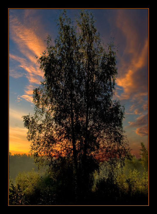 photo "***" tags: landscape, forest, sunset