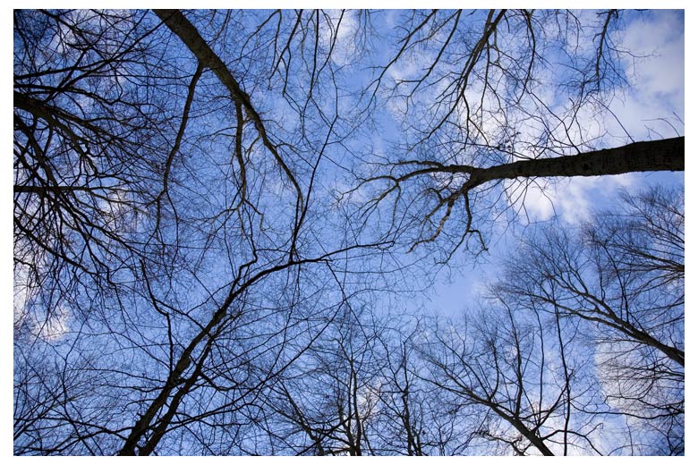 photo "Vertigo" tags: nature, landscape, 