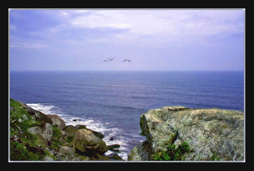 фото "Flying ..." метки: пейзаж, вода