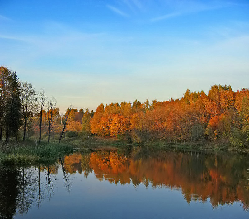 photo "***" tags: landscape, forest, sunset