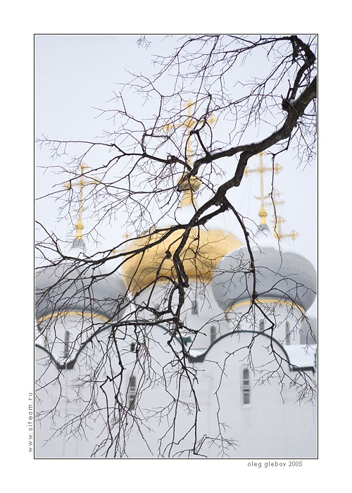 photo "Domes of Smolenskogo cathedral" tags: architecture, landscape, 