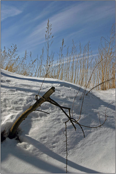 photo "Etude" tags: landscape, clouds, winter