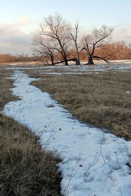 photo "Cold April. MiddleEarth" tags: landscape, nature, spring