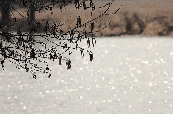 photo "***" tags: landscape, water